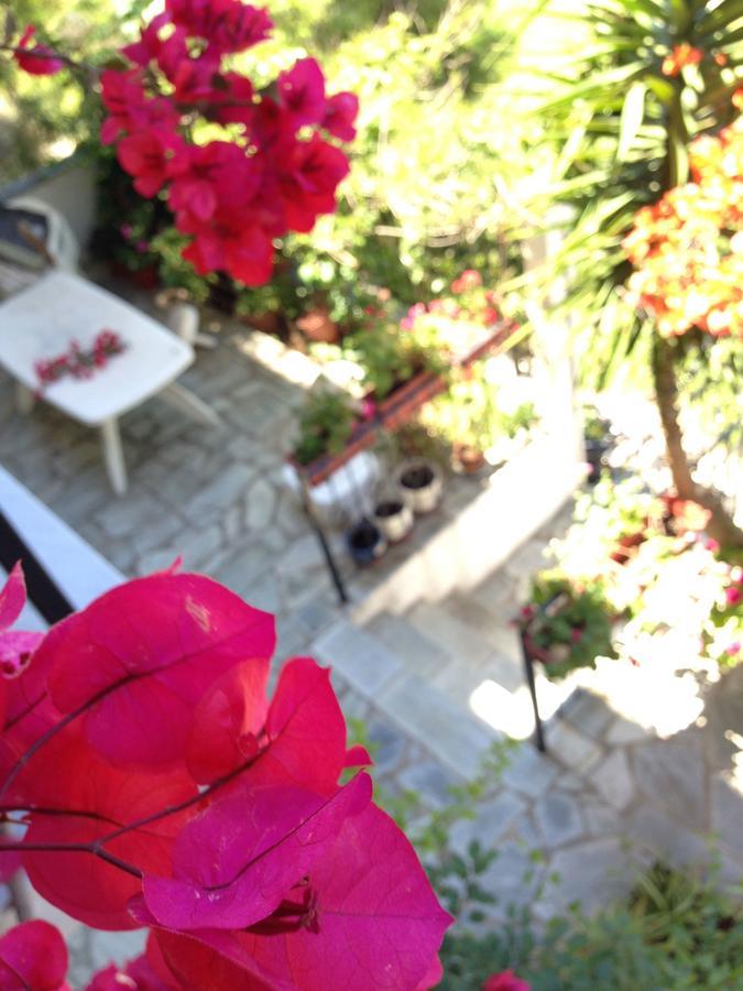 Mimoza Studios Skiathos Town Luaran gambar